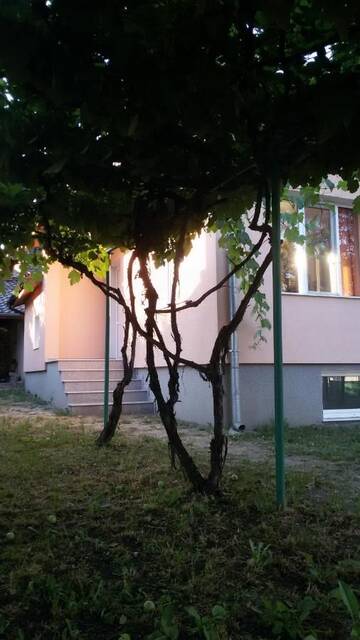 Фотографии Гостевой дом Lozitsa Guest House г. Zlatitsa (Болгария) №1 Фото Гостевой дом Lozitsa Guest House г. Zlatitsa 1